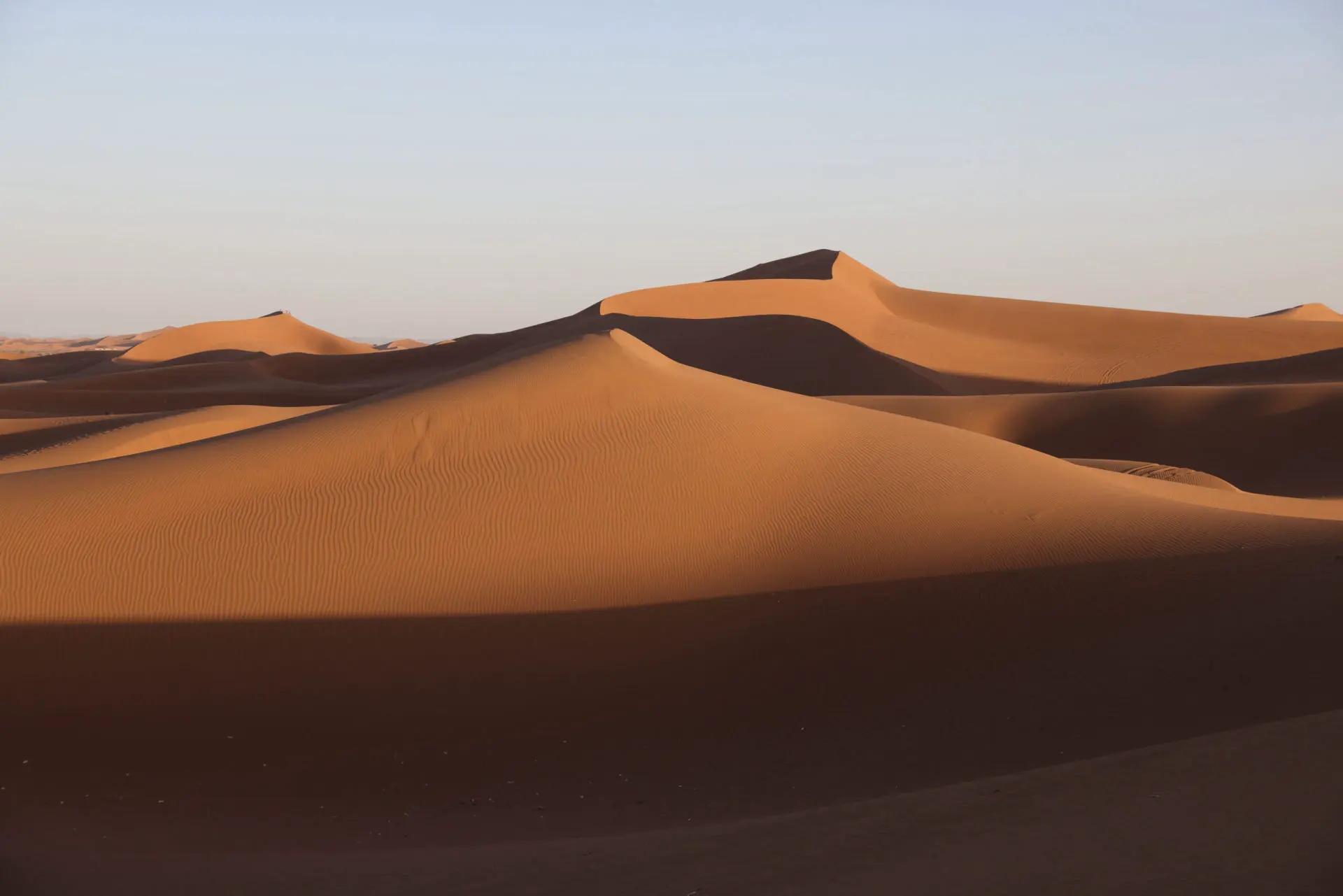 Dunes dorées du Sahara aux abords de M'Hamid, lumière de fin de journée